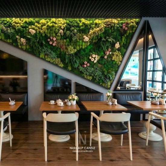 The Shaula Cafe Ic Mekan Tasarimi
